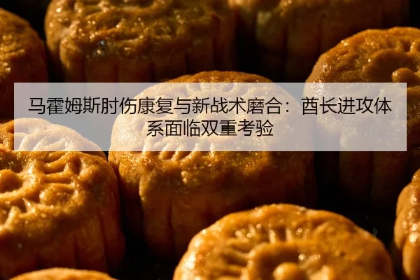 马霍姆斯肘伤康复与新战术磨合：酋长进攻体系面临双重考验